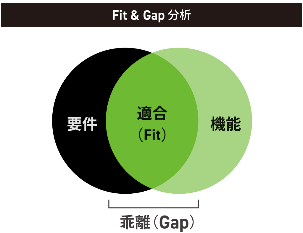 Fit&Gap