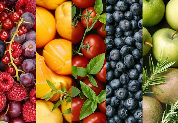 必要な機能がワンパッケージ